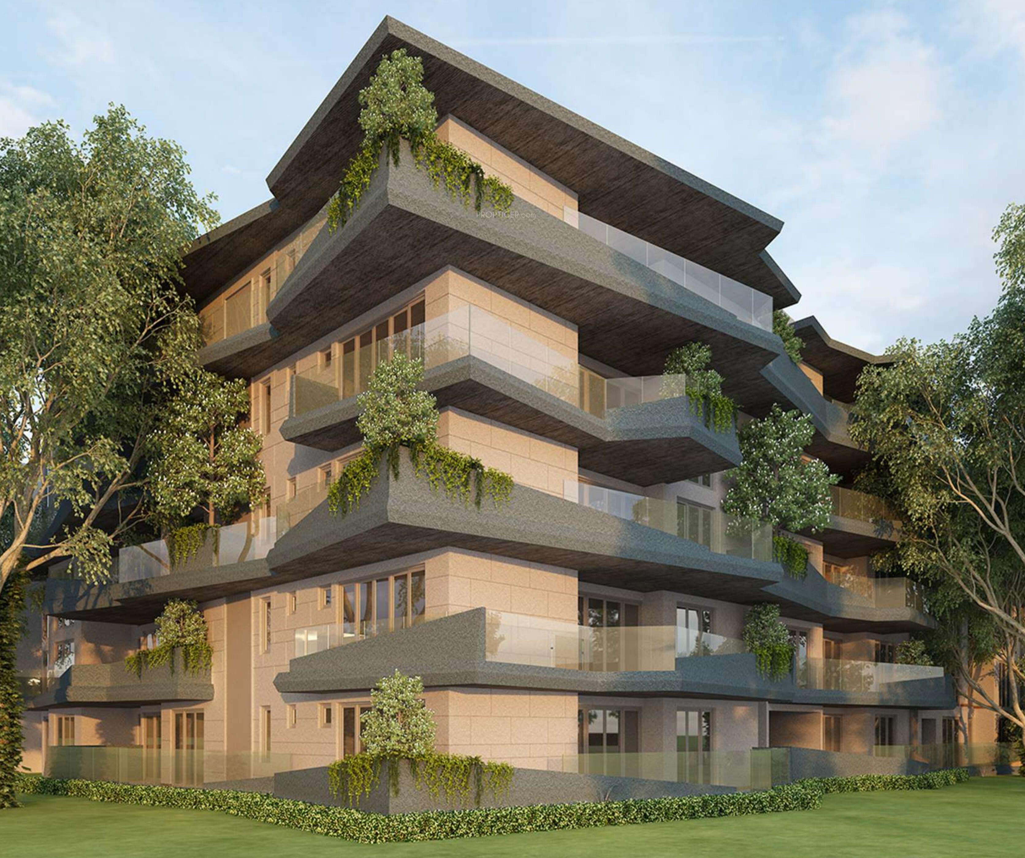 wild-woods Elevation