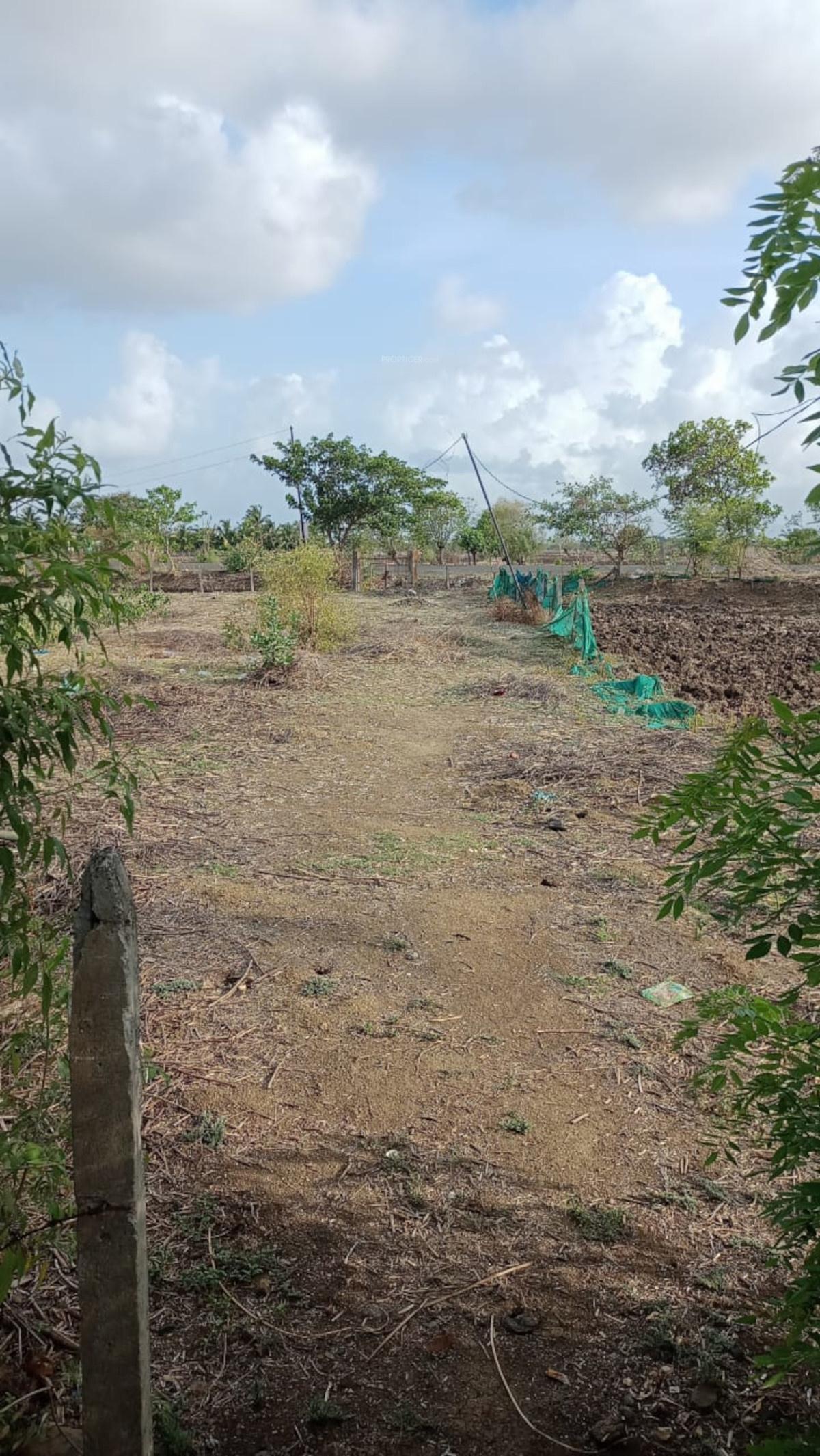 plots-in-jnpt Elevation
