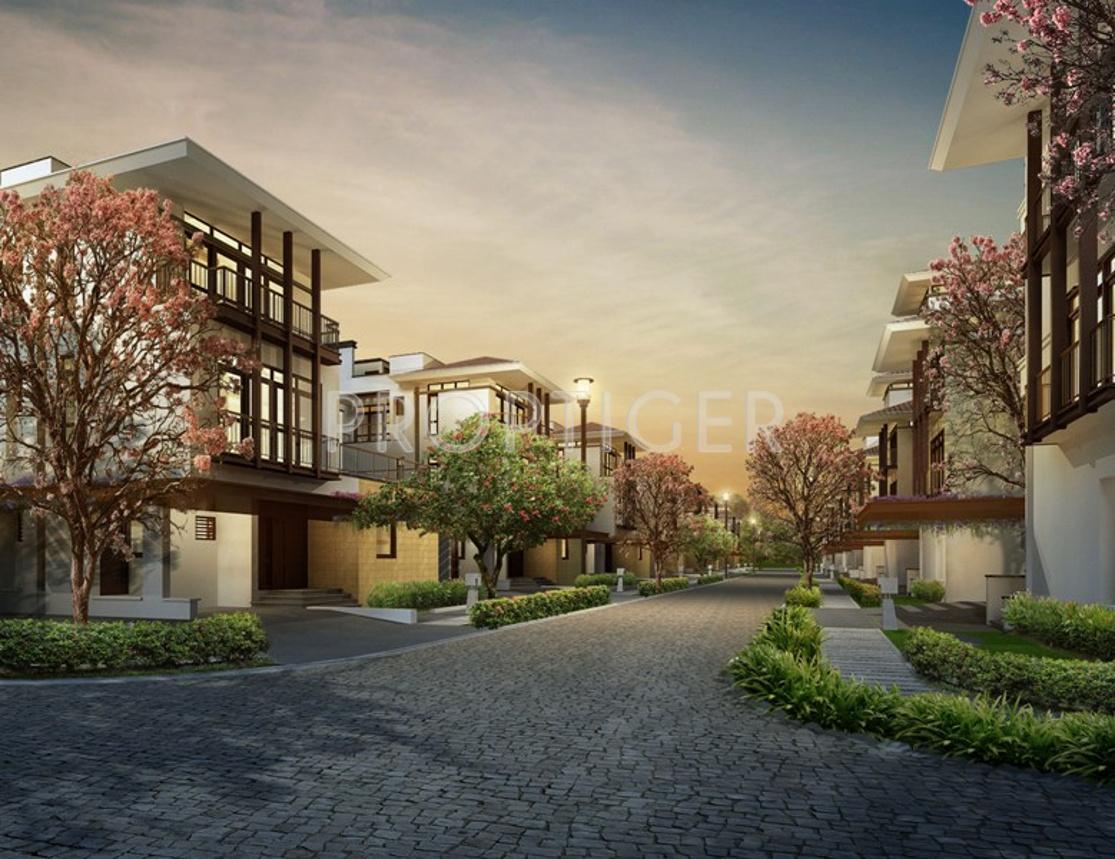 Images for Elevation of Olympia Panache