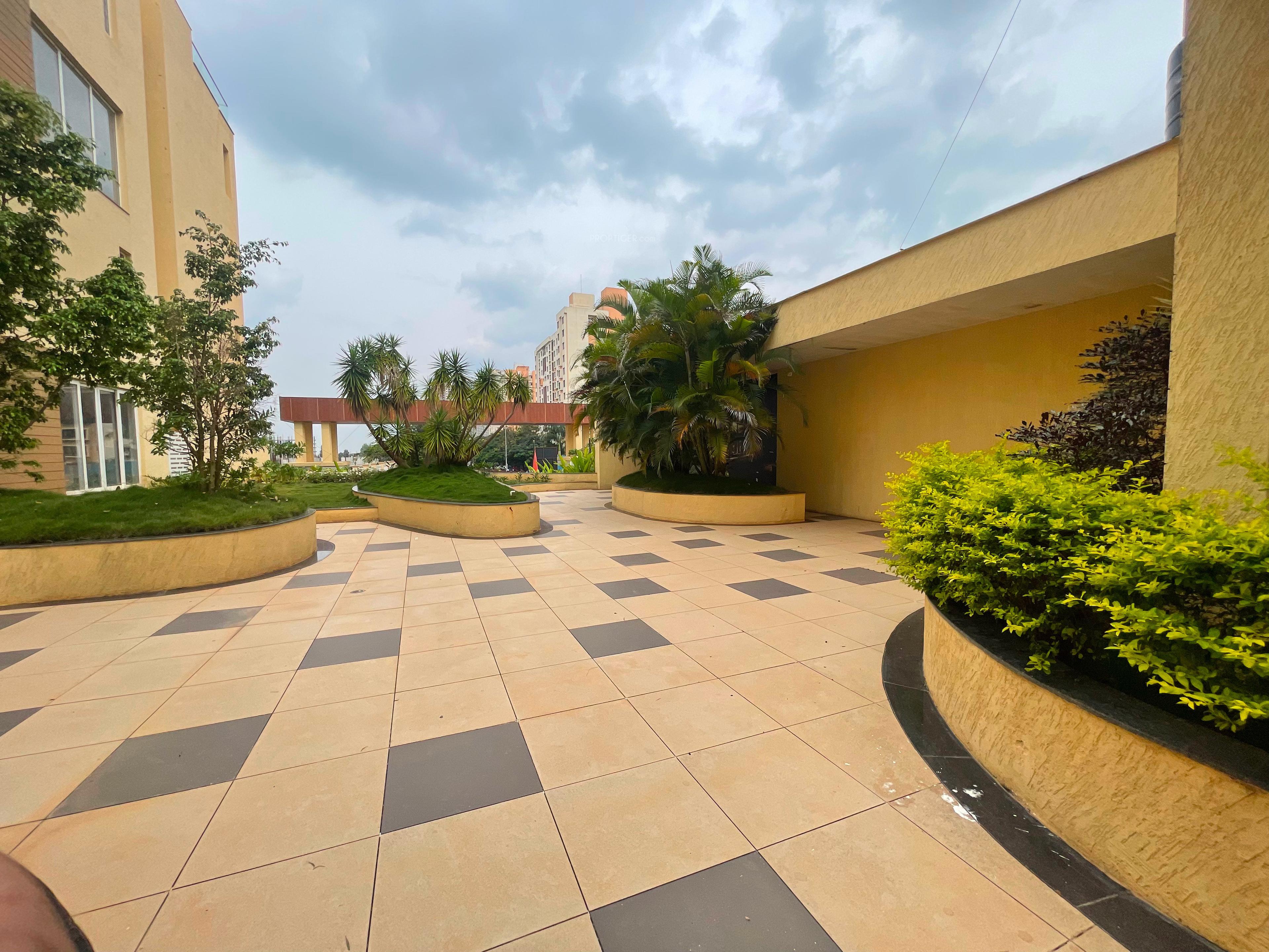 gm-townsville Elevation