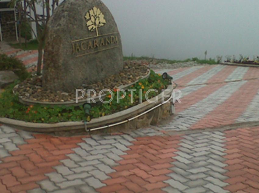 Images for Main Other of Catalyst Jacaranda