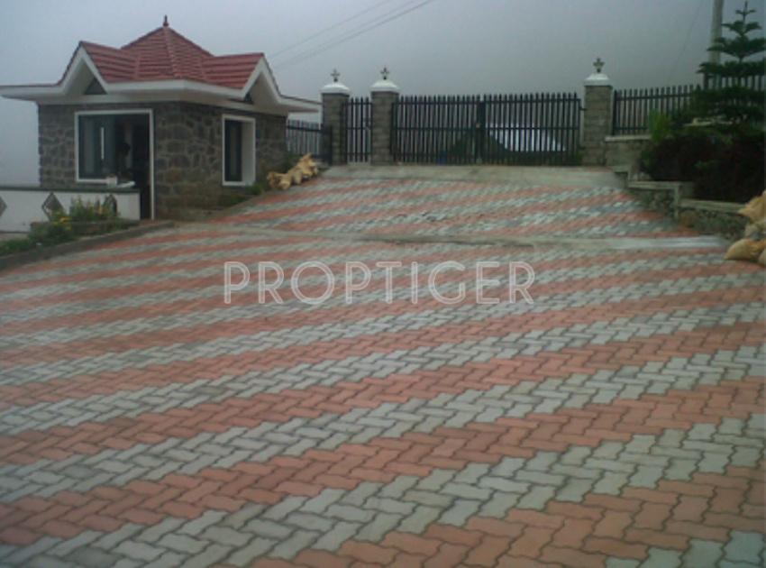 Images for Main Other of Catalyst Jacaranda