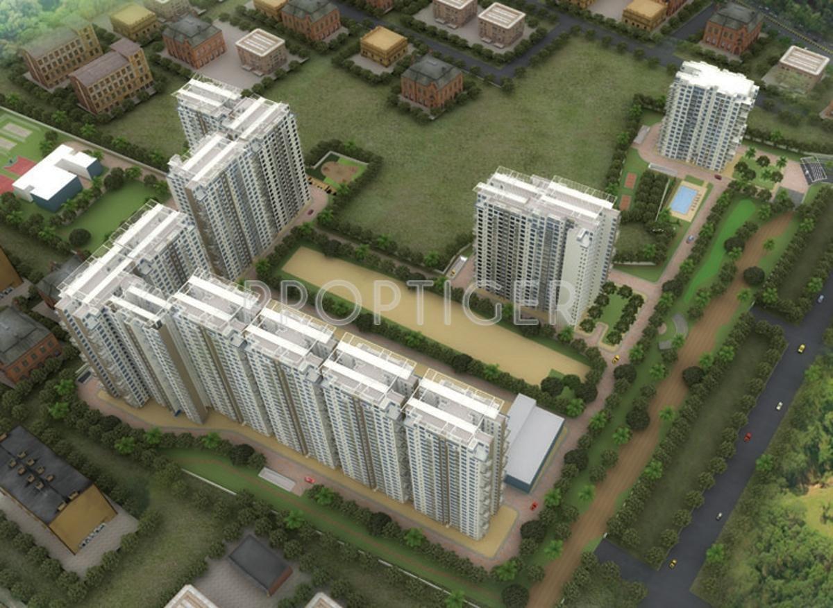 Images for Elevation of G Corp The Icon