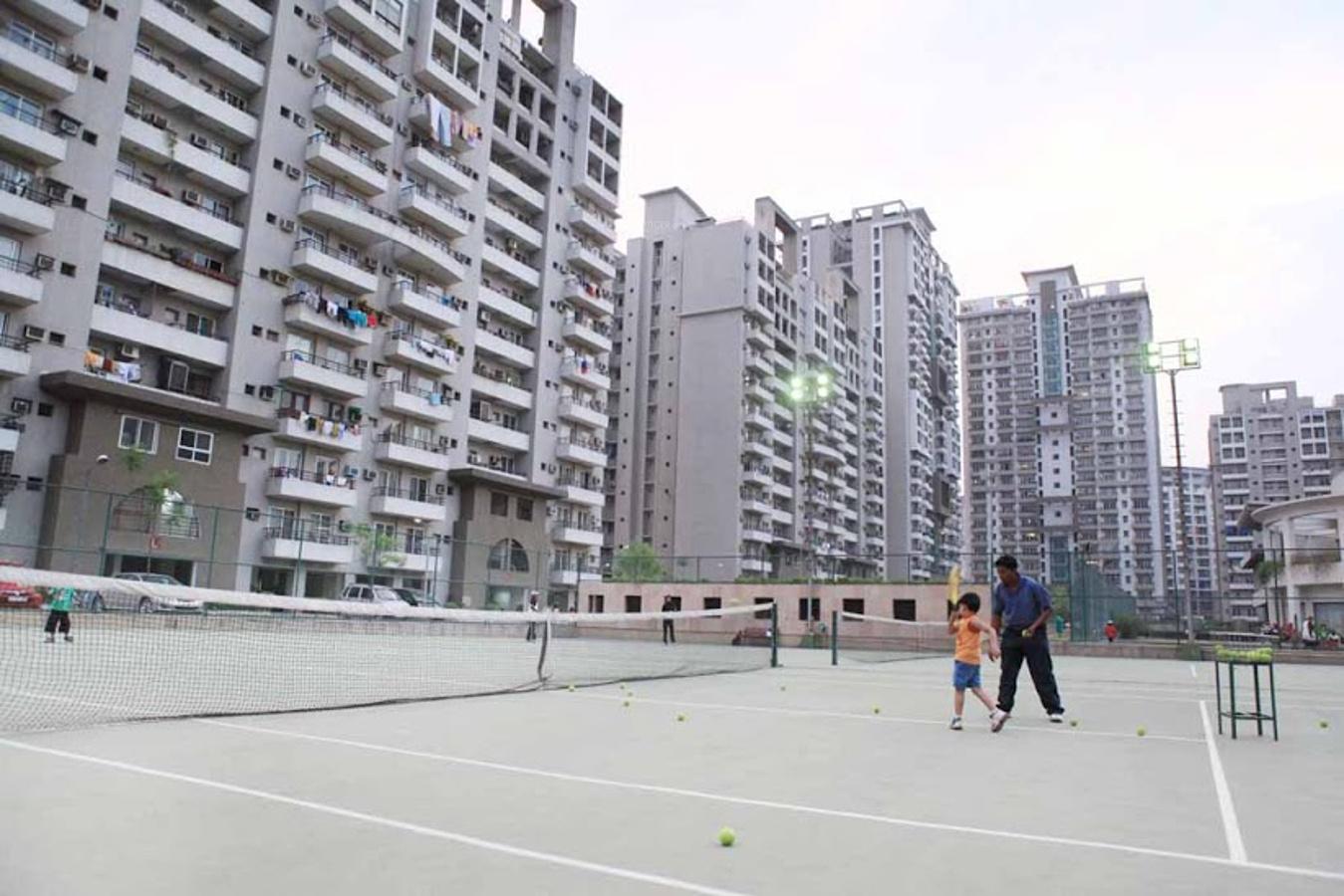  windsor-park Elevation