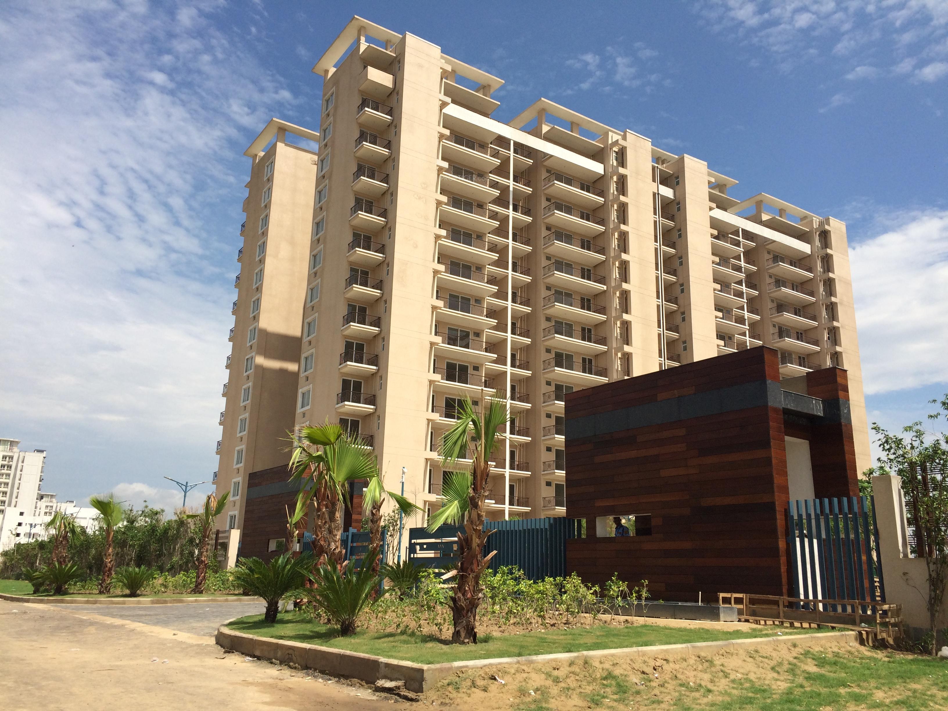  purple Images for Elevation of Tulip Purple