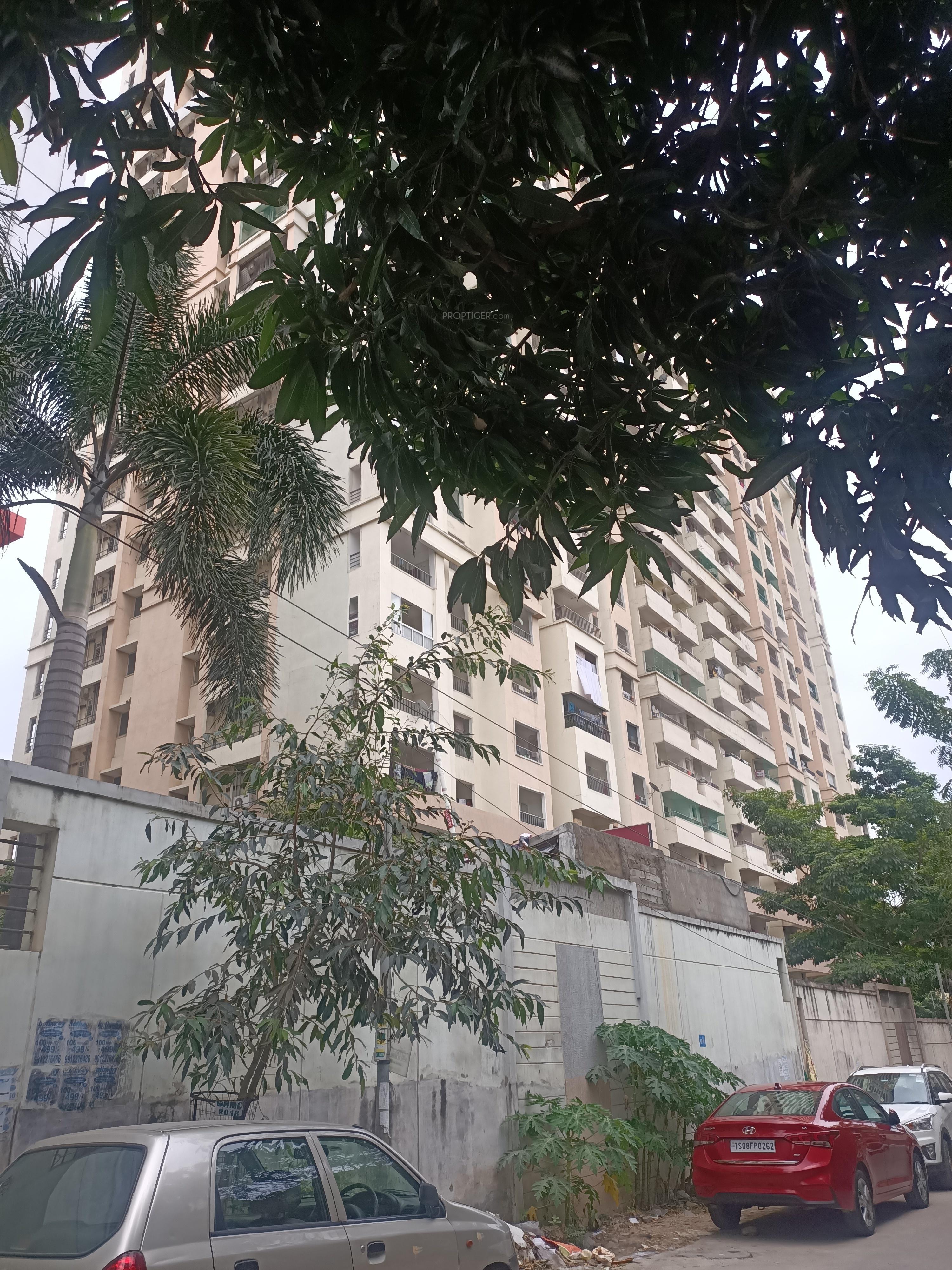  majestic-homes Elevation