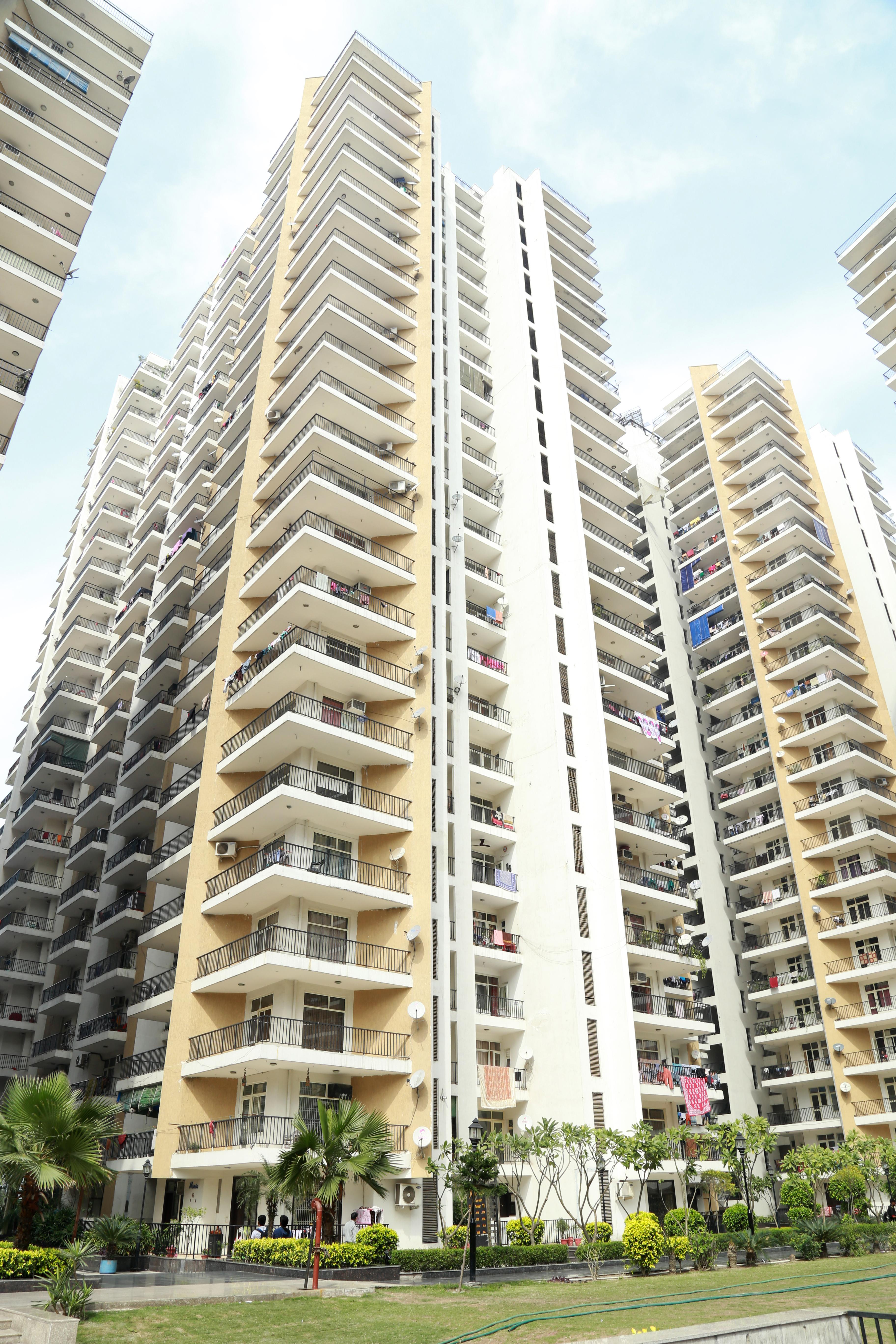  wellington Elevation