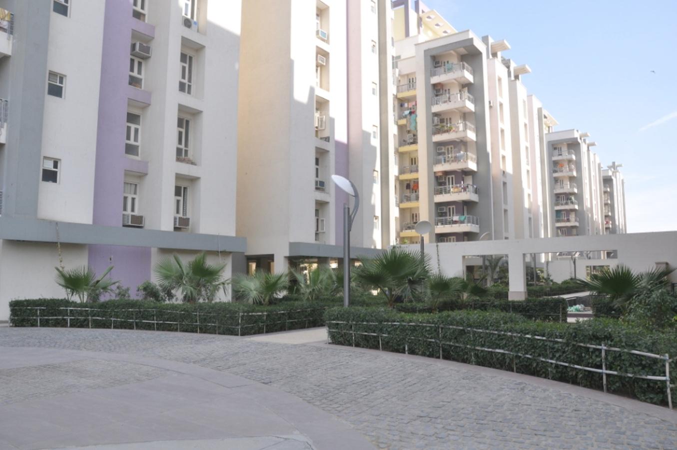 Images for Elevation of Mahima Mahima Iris