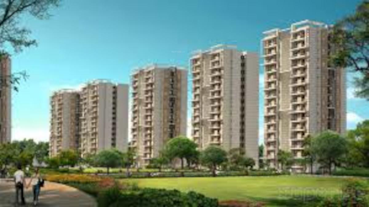  the-urban-young Elevation