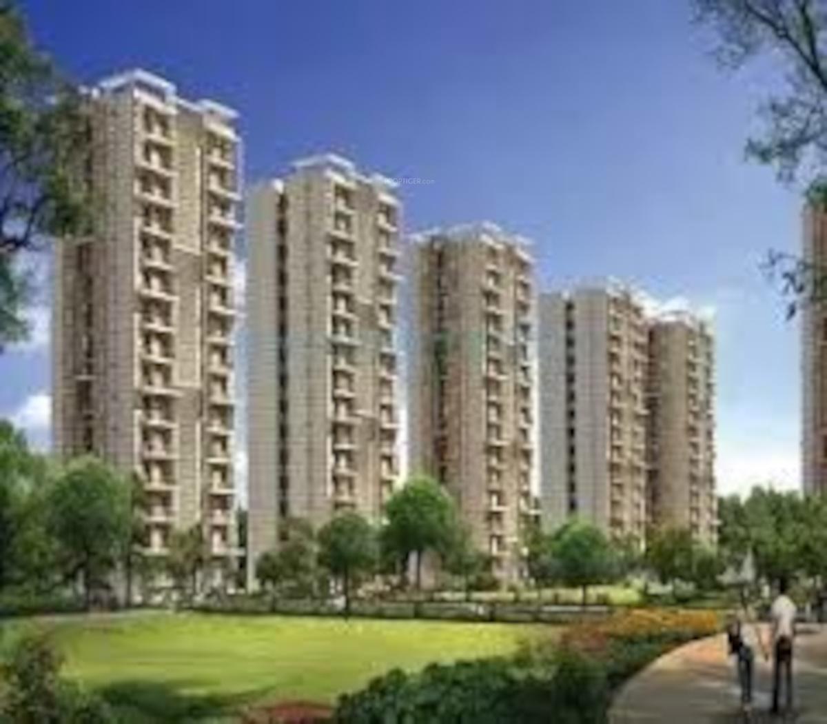  the-urban-young Elevation