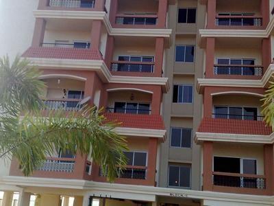  solicitude Elevation