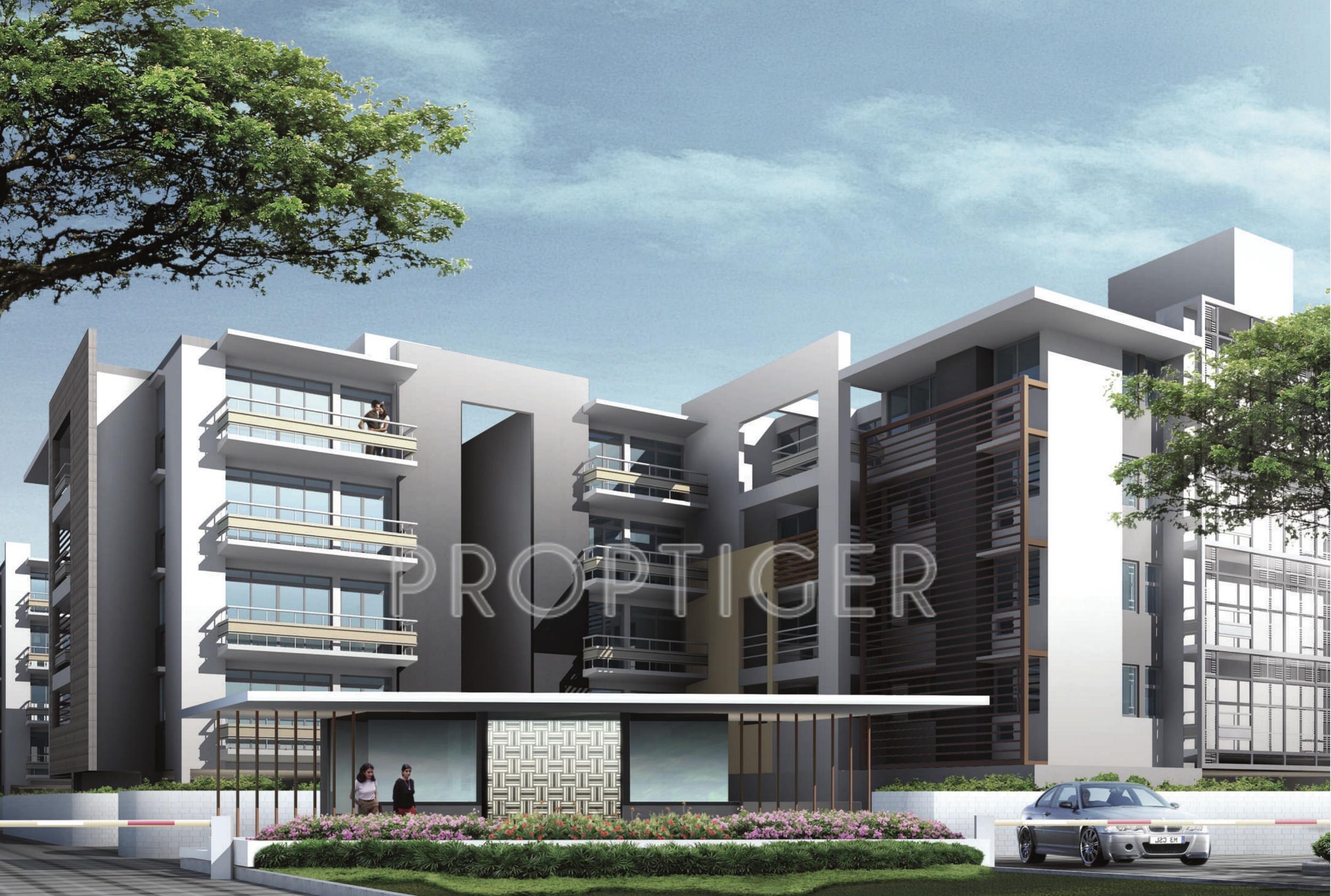 Images for Elevation of Conscient Infrastructure Arborea