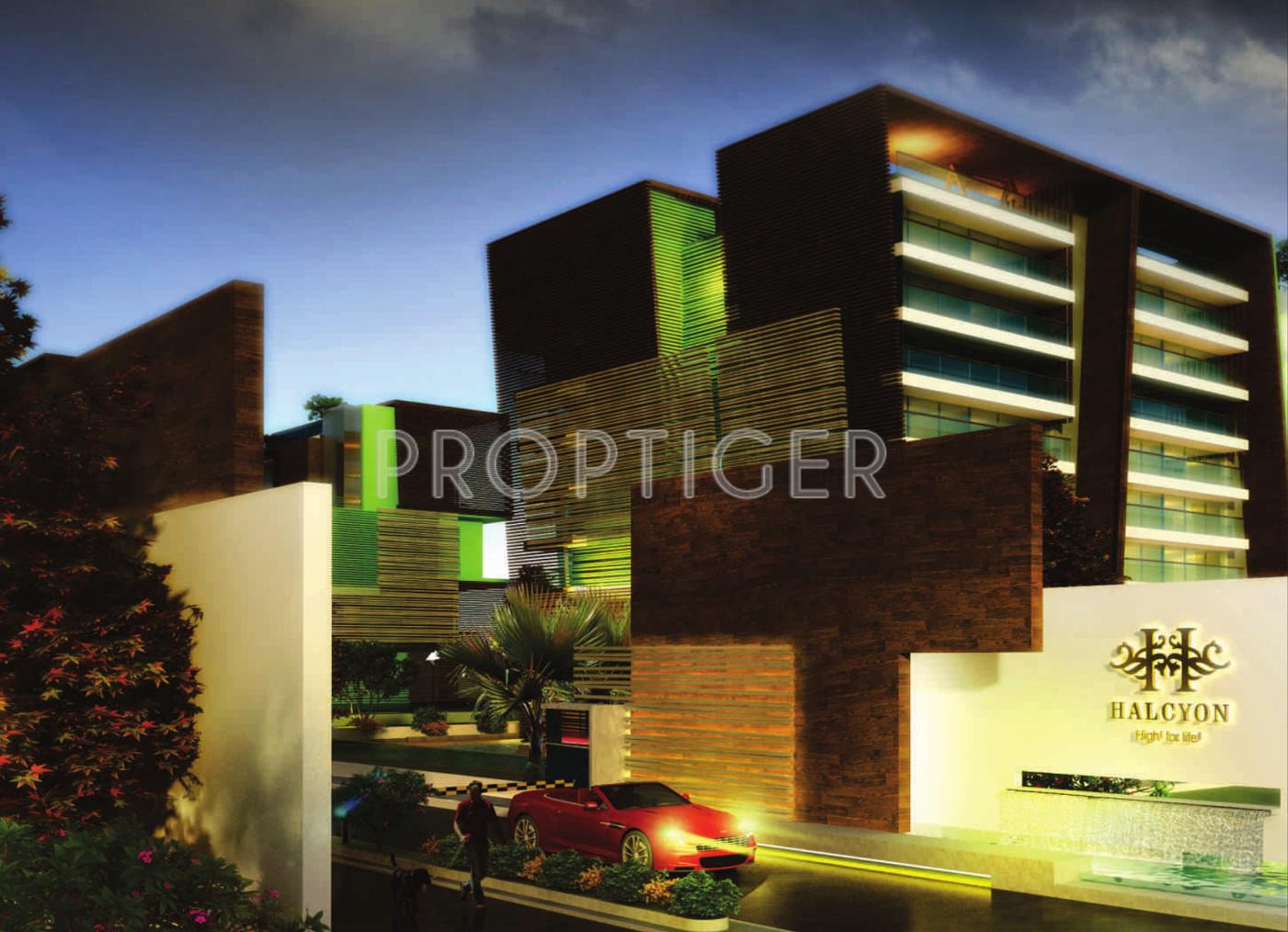 Images for Elevation of Phoenix Halcyon