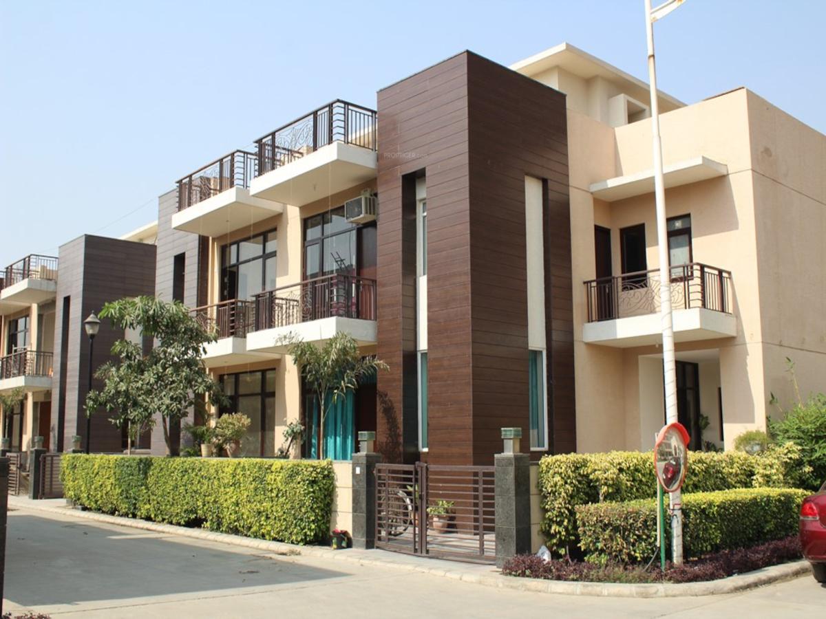  rose-ville Elevation