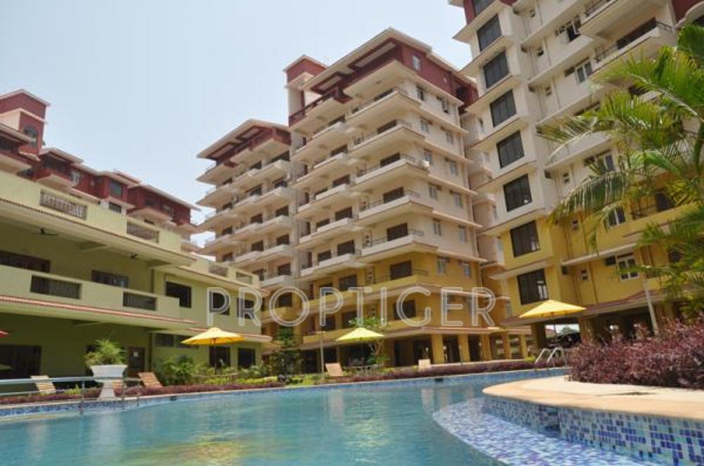  status Project Image