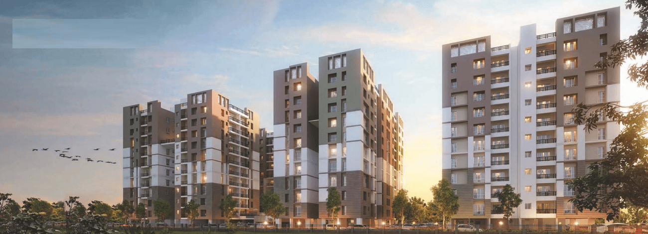  springfield Elevation