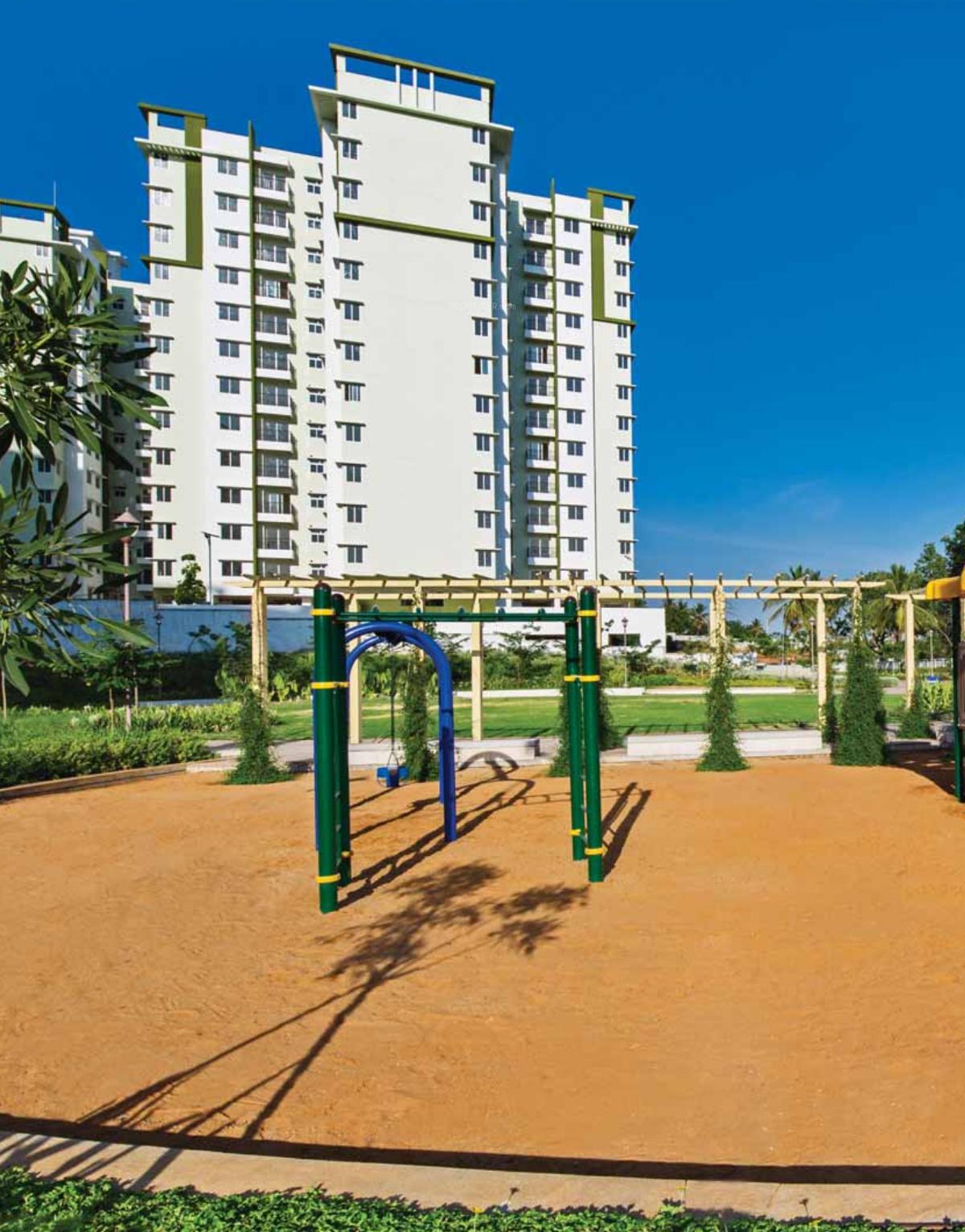 Images for Elevation of Provident Rays of Dawn