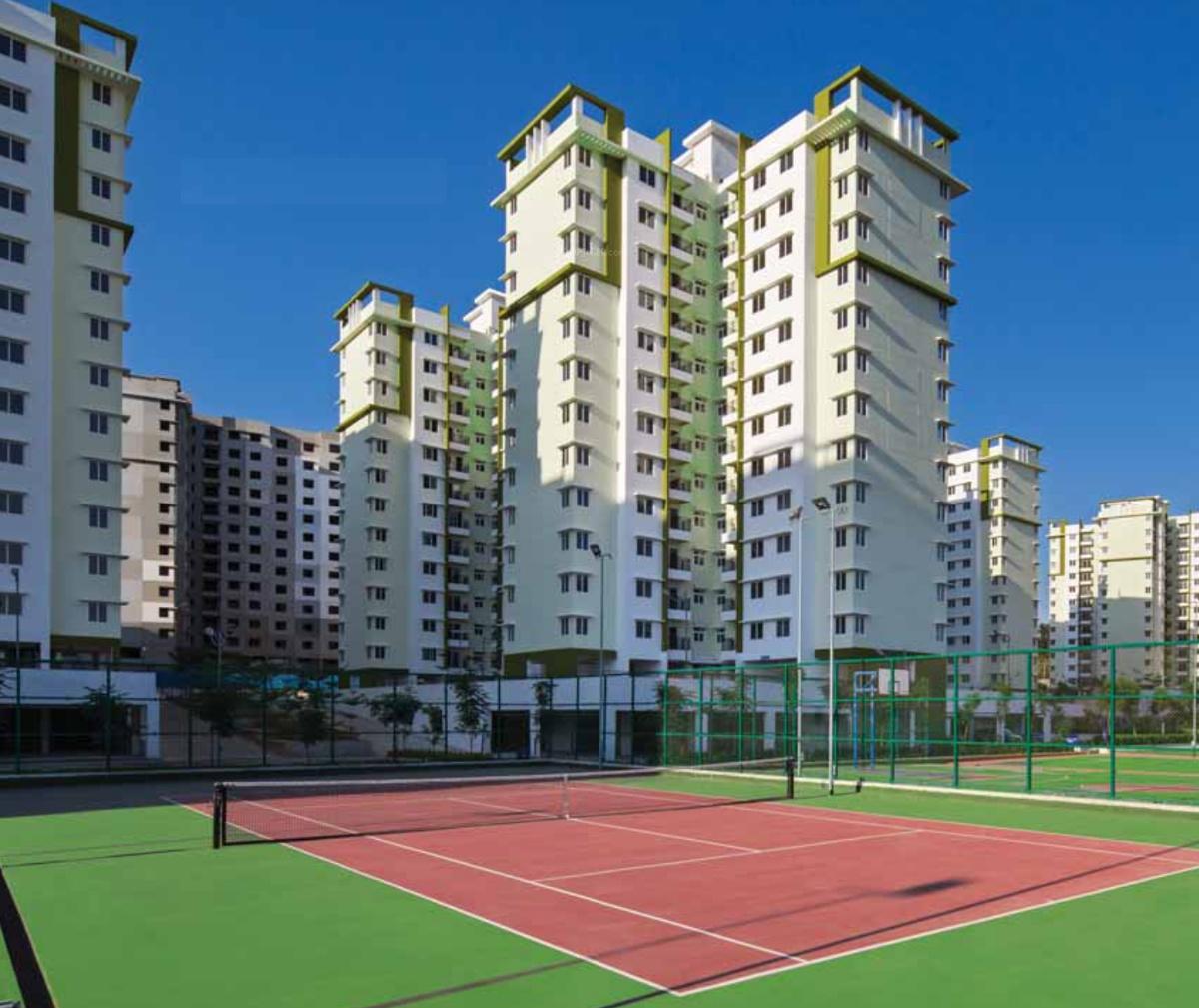 Images for Elevation of Provident Rays of Dawn