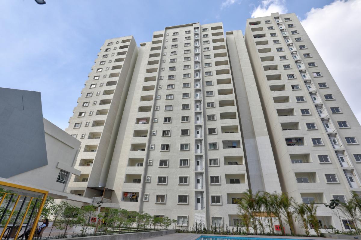  orchard-square Elevation