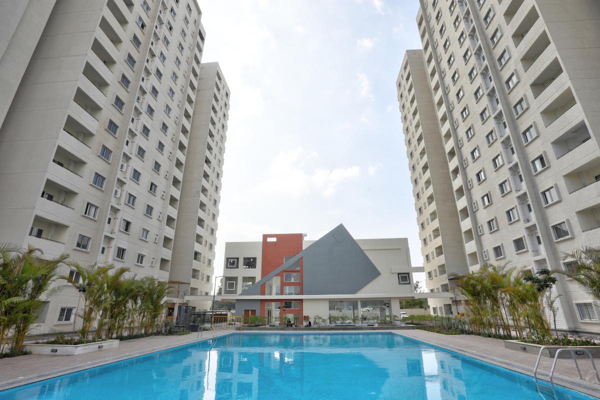  orchard-square Elevation