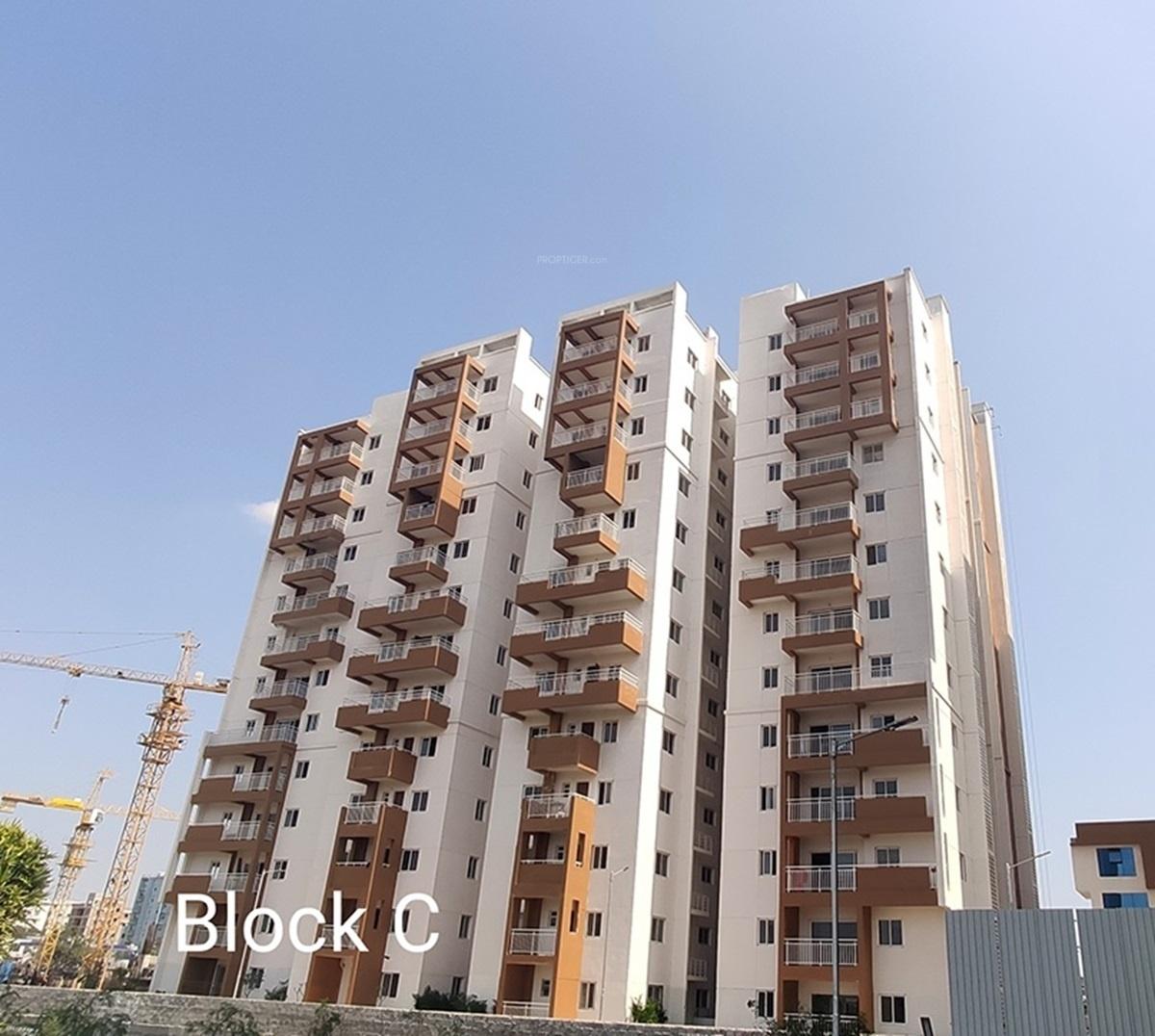  wind-chimes Elevation