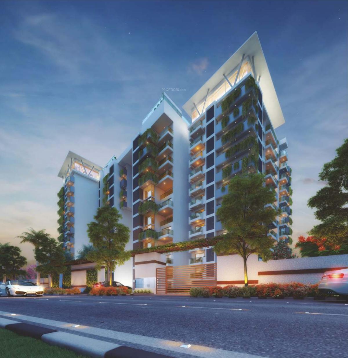  24k-grazio Elevation