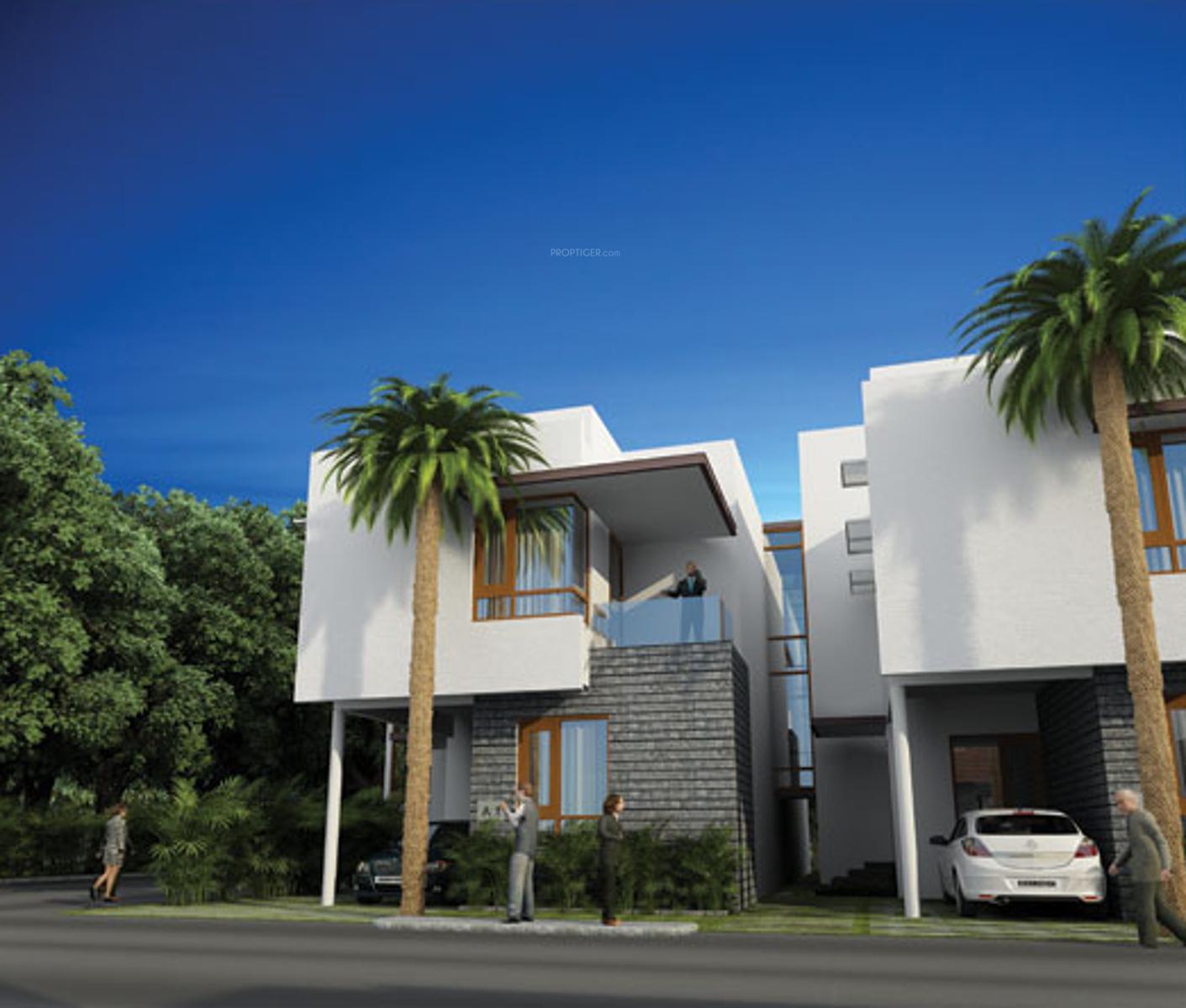 Images for Elevation of ND Around The Mangoes