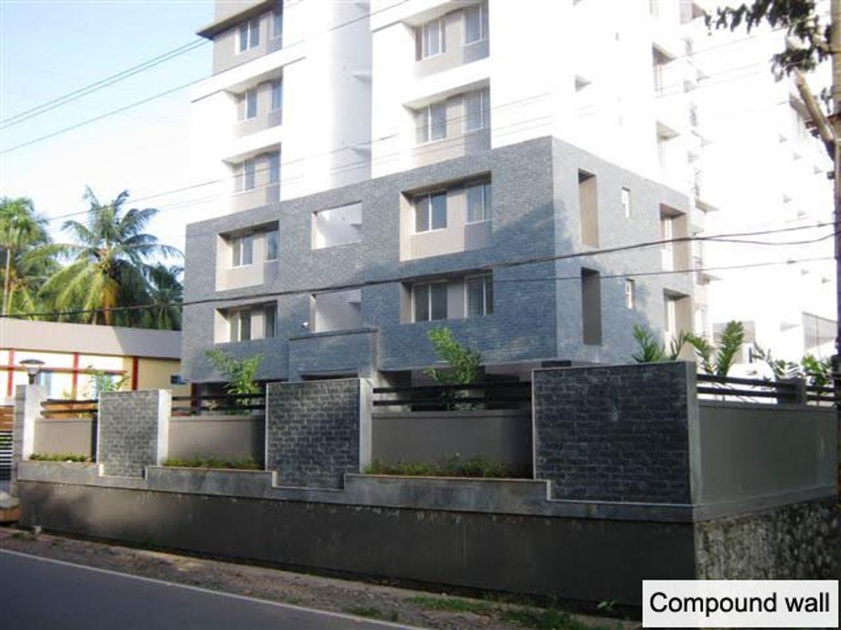 Images for Elevation of Skyline Petal