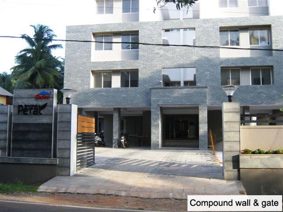 Images for Elevation of Skyline Petal