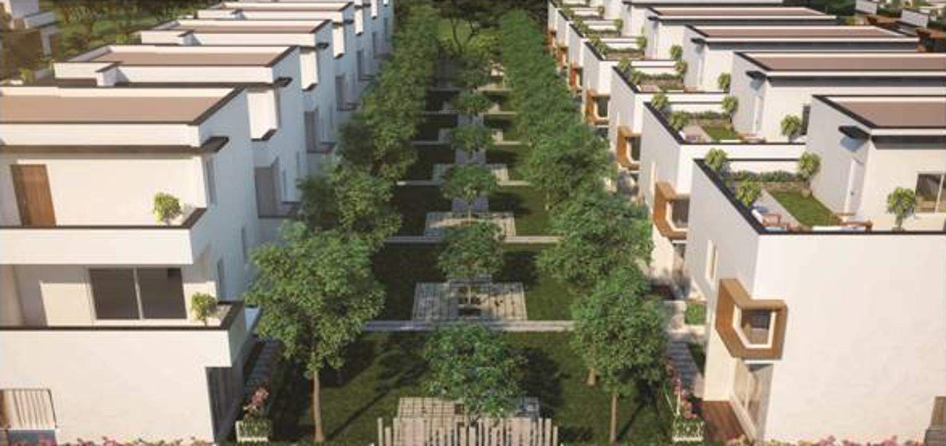 Images for Elevation of Radhey Sancia