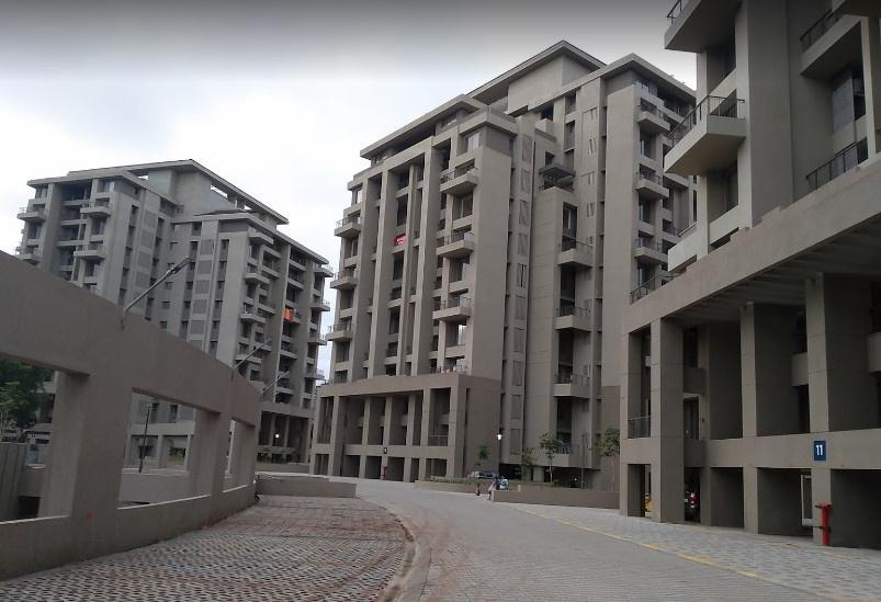 Skyi Songbirds Phase C