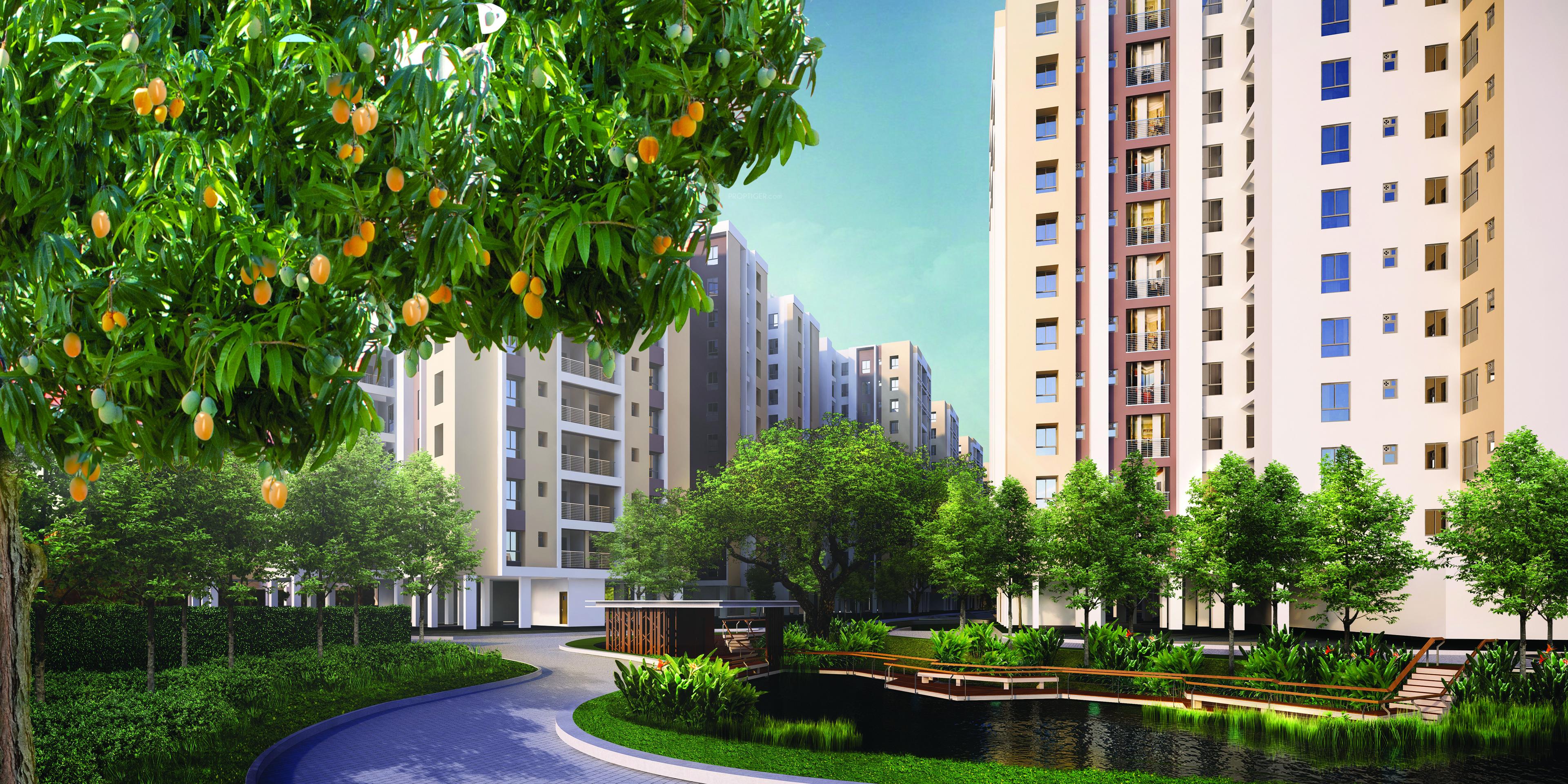 Images for Elevation of Srijan Eternis