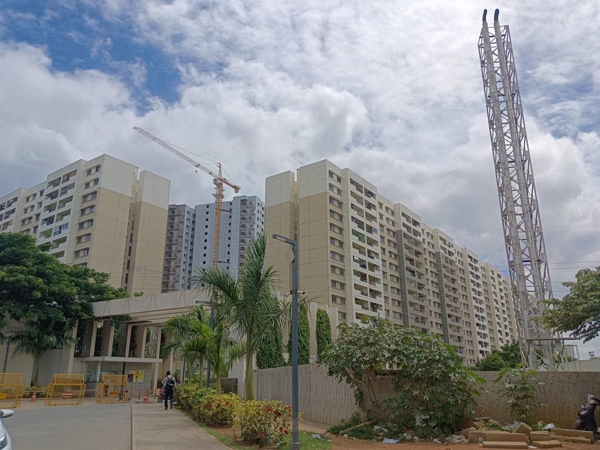 Tropical Greens At Dream Acres