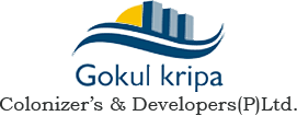 Developer Logo