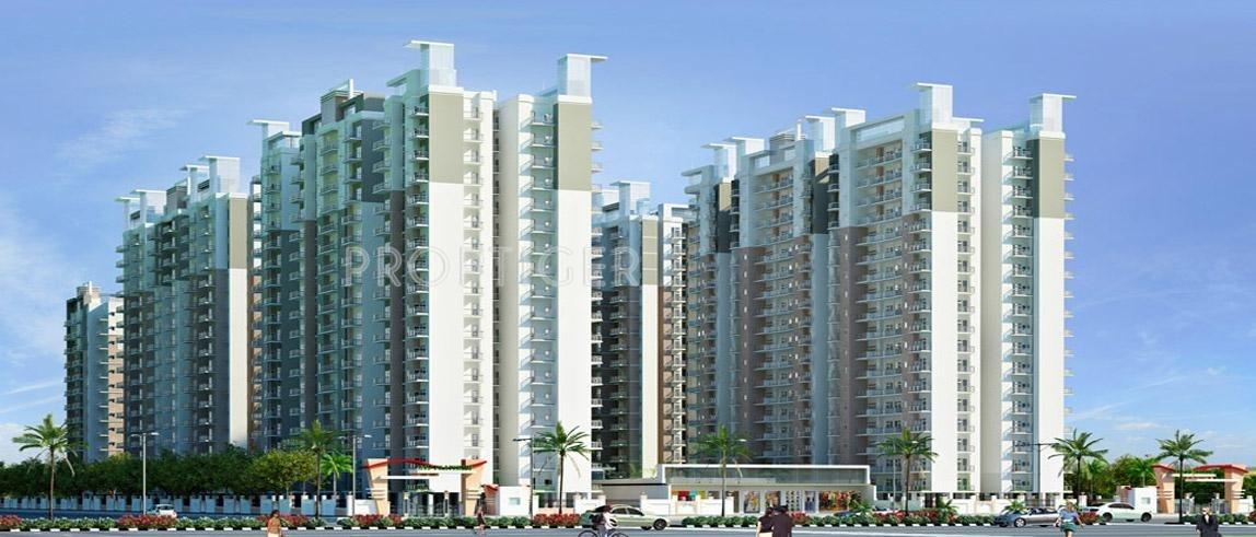 platinum-zeta-1 Images for Elevation of Ace Platinum Zeta 1