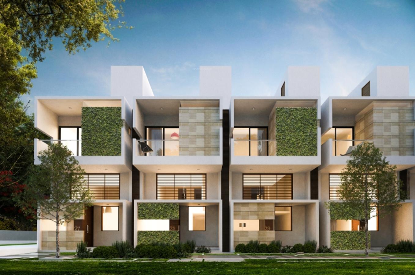 zen-garden Images for Elevation of Citrus Zen Garden