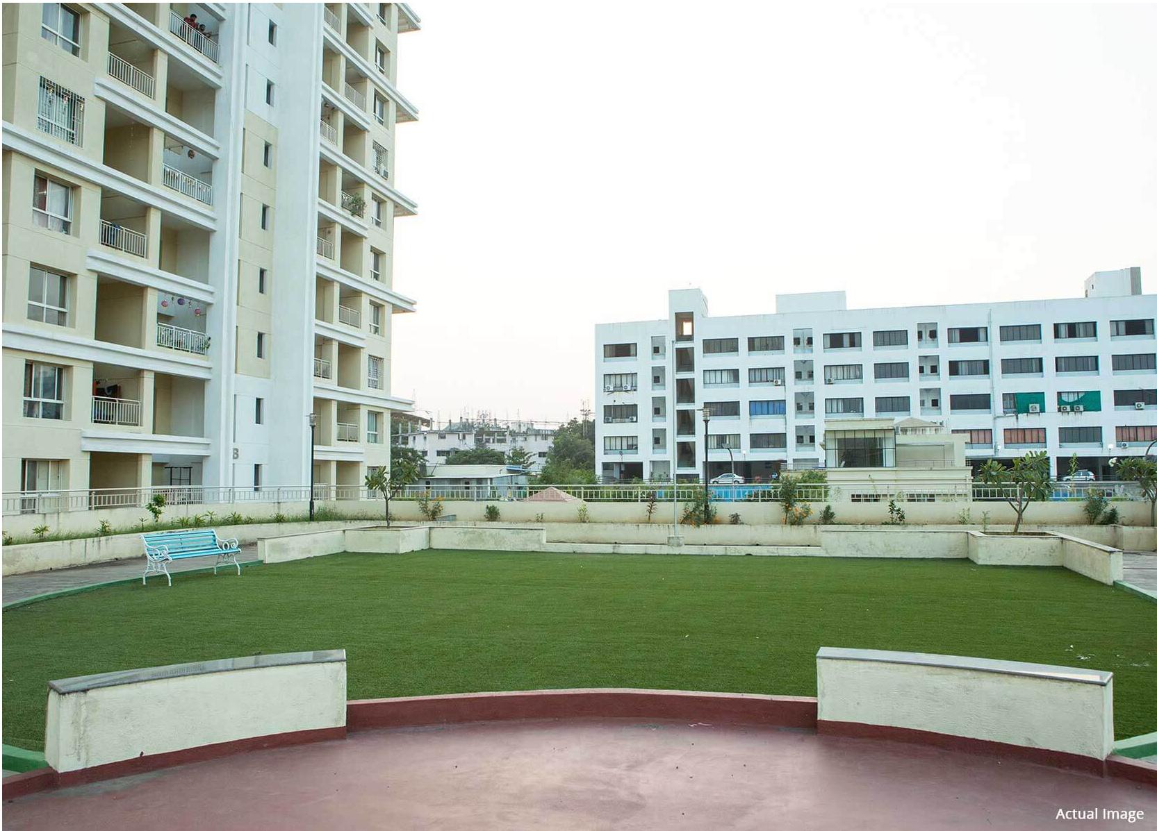 green-olive-c-and-d Elevation