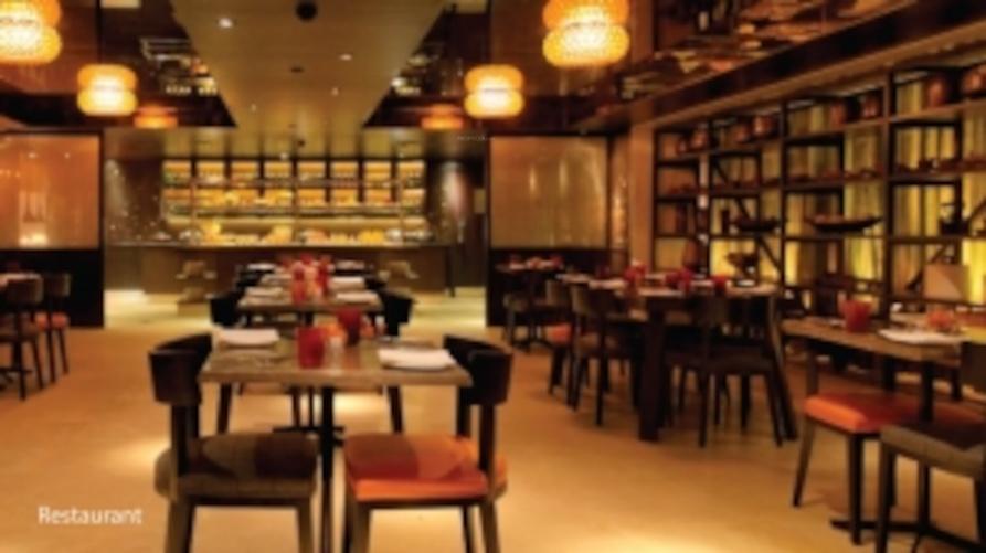 adora-de-goa-6 Others