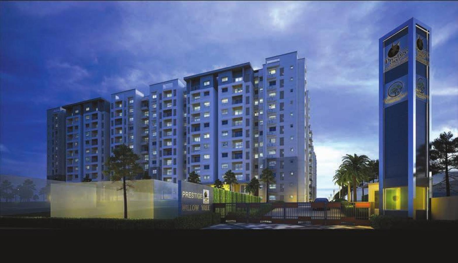 willow-tree Images for Elevation of Prestige Willow Tree