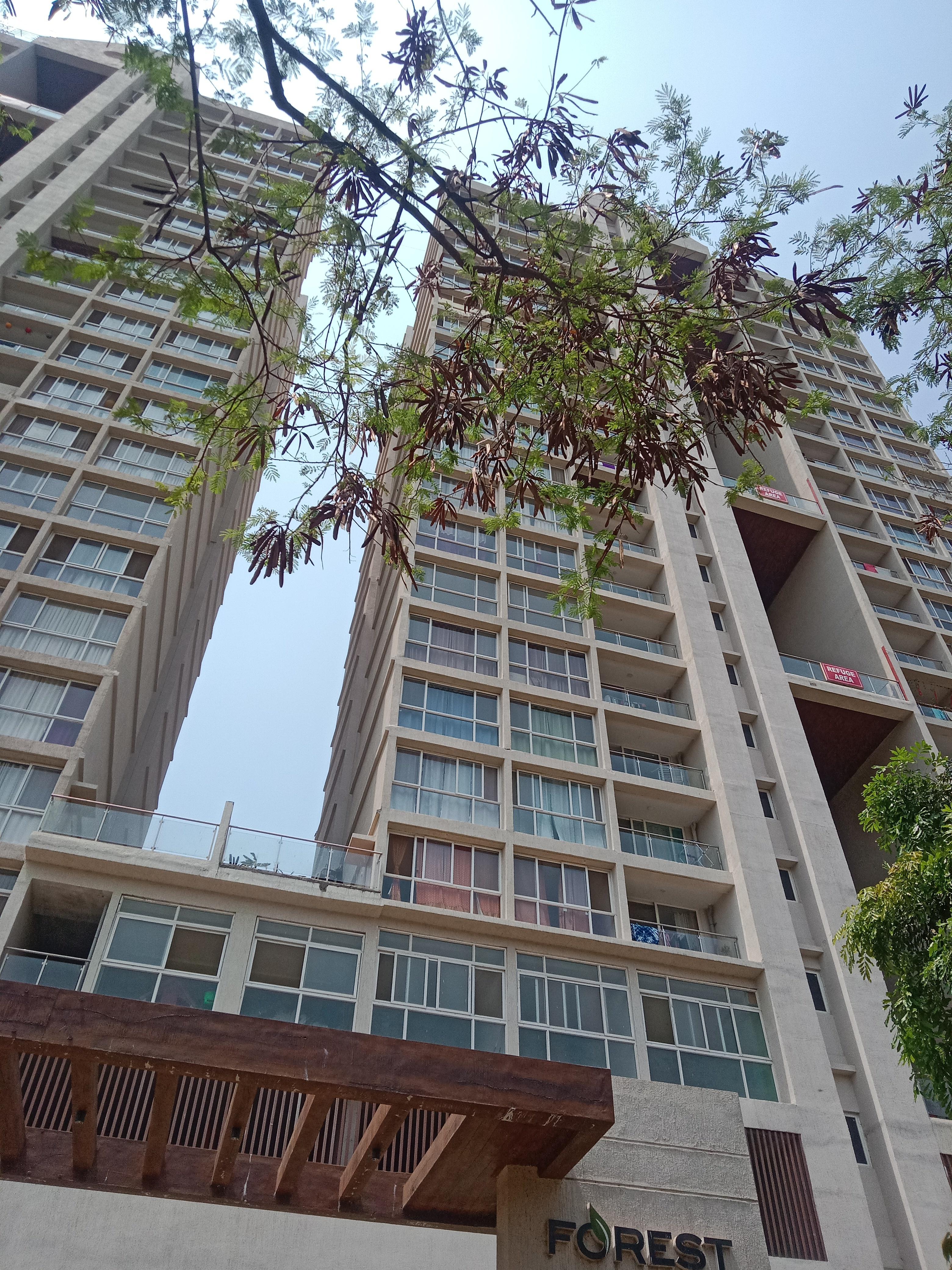 forest-edge-phase-2 Elevation