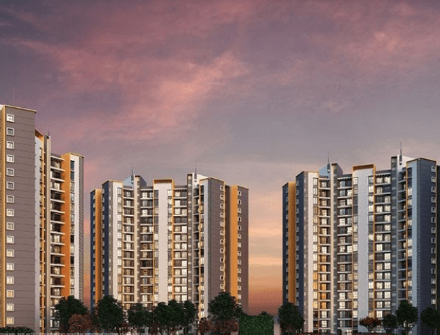 sensorium-phase-ii Elevation