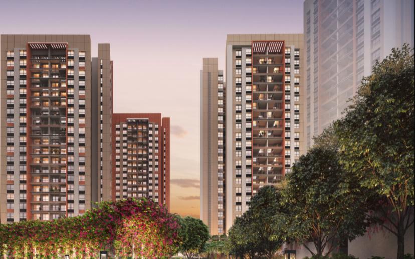 sensorium-phase-v Elevation