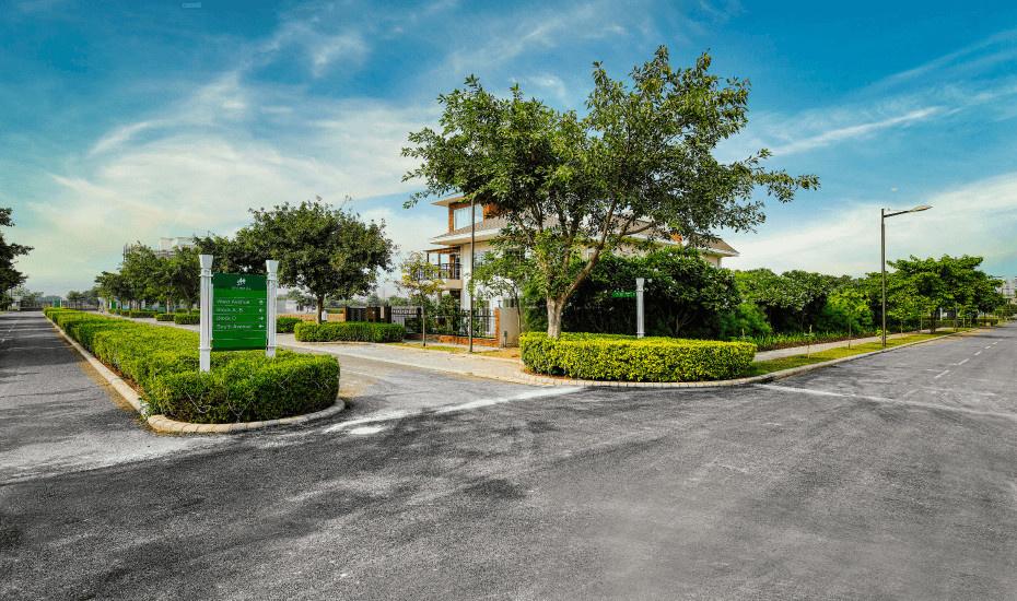 independent-floors-at-dlf-alameda Internal Roads