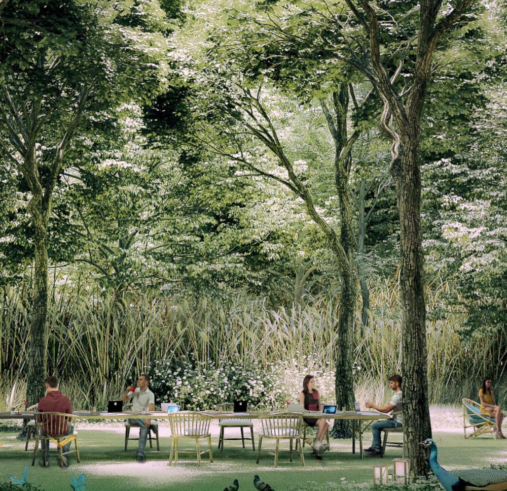 woods-tower-8 Others