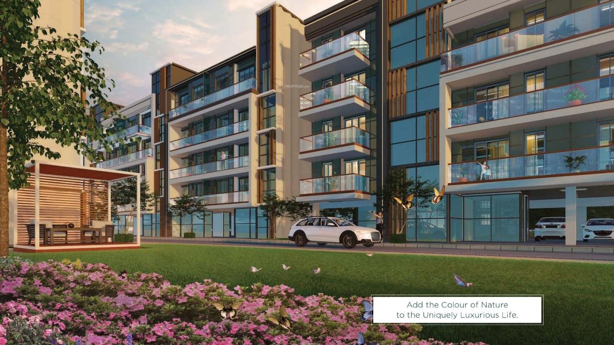 city-63a Elevation
