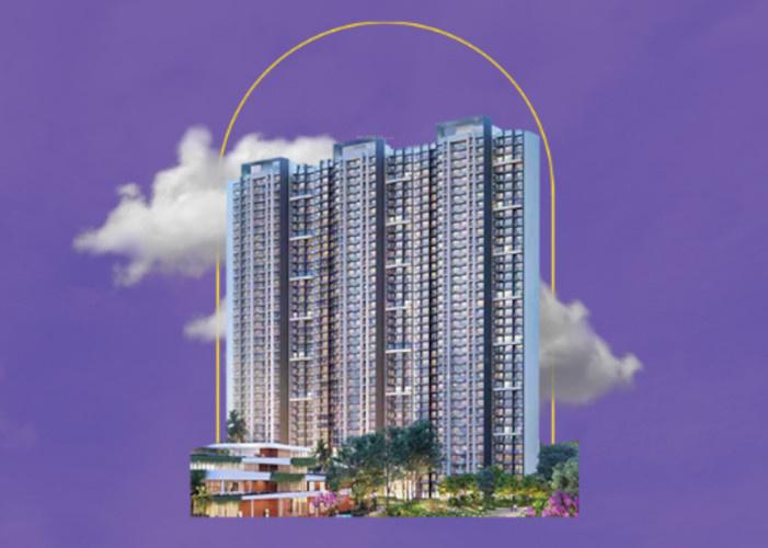 codename-desire Elevation