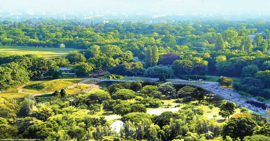 ecopolitan-phase-4 Landscape Garden and Tree Planting