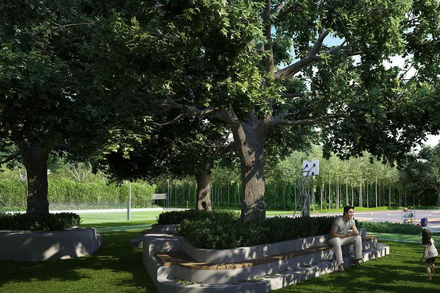 Landscape Garden and Tree Planting