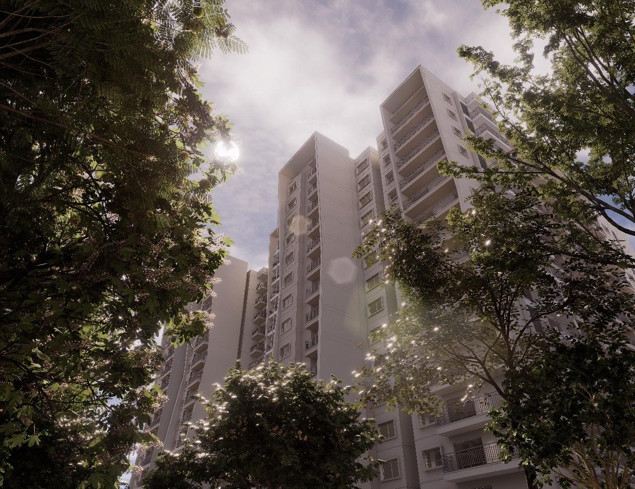 the-courtyard Elevation