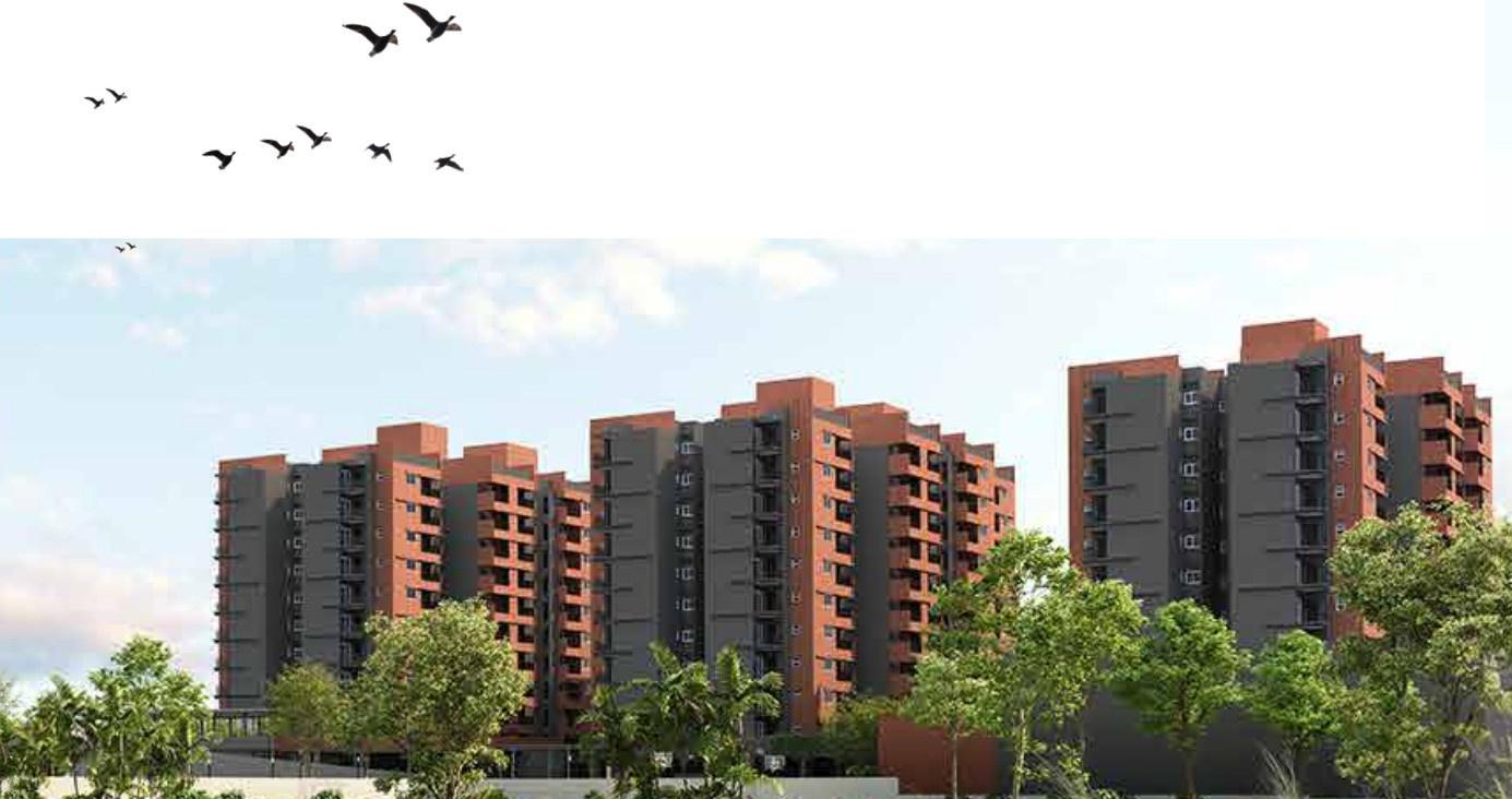 serene-heights Elevation